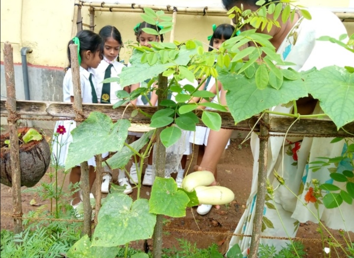 පාසල තුළ ක්‍රියාත්මක වන වැඩසටහන් හා ව්‍යාපෘති